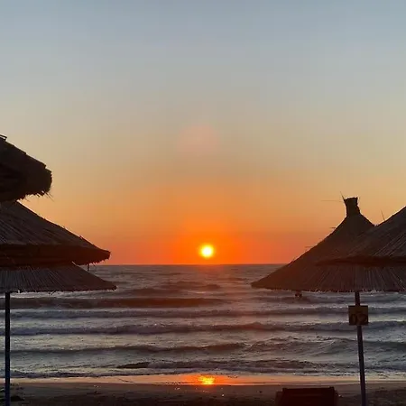 Villa Forest - Middle Of Forest & Near The