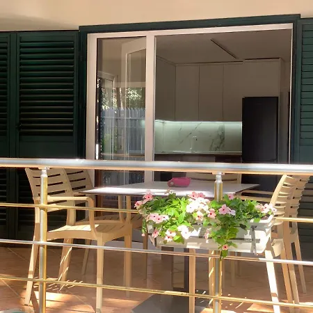 Forest - Middle Of Forest & Near The Villa Golem (Tirana)