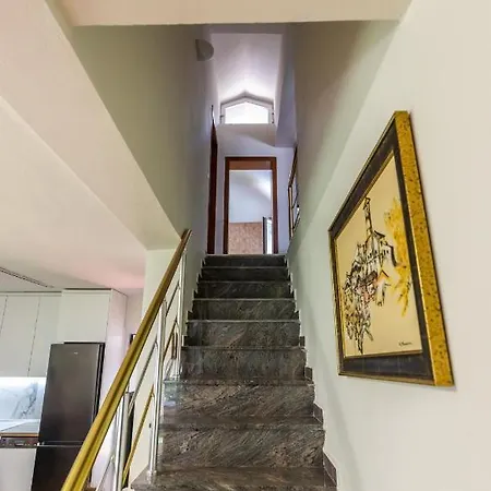 Forest - Middle Of Forest & Near The Golem (Tirana)