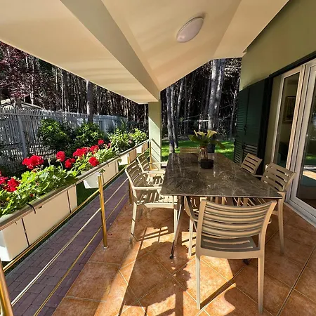 Forest - Middle Of Forest & Near The * Golem (Tirana)