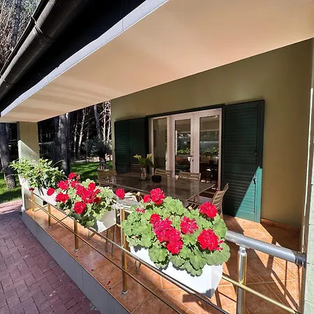 Forest - Middle Of Forest & Near The * Golem (Tirana)