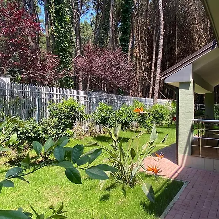 Forest - Middle Of Forest & Near The * Golem (Tirana)