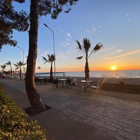 Forest - Middle Of Forest & Near The Golem (Tirana)