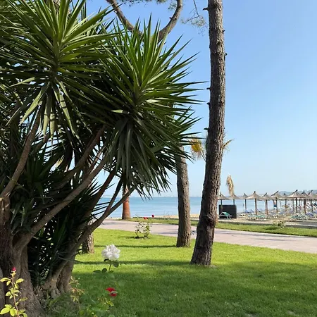 Forest - Middle Of Forest & Near The * Golem (Tirana)