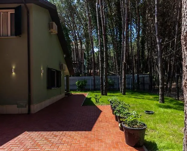 Forest - Middle Of Forest & Near The Villa Golem (Tirana)