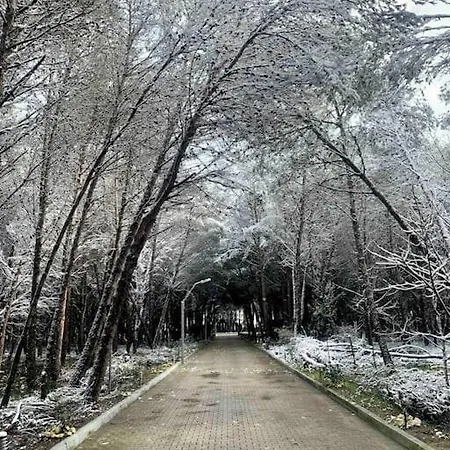 Forest - Middle Of Forest & Near The Villa *