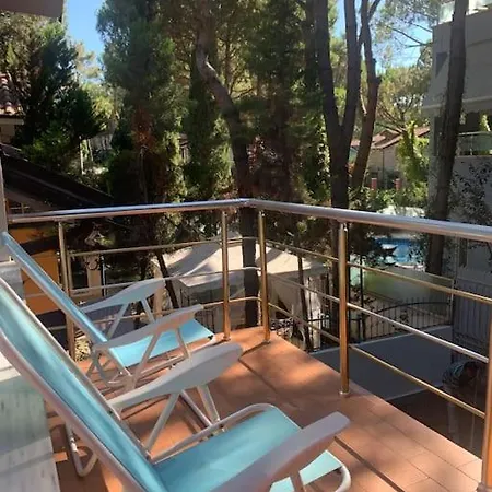 Forest - Middle Of Forest & Near The