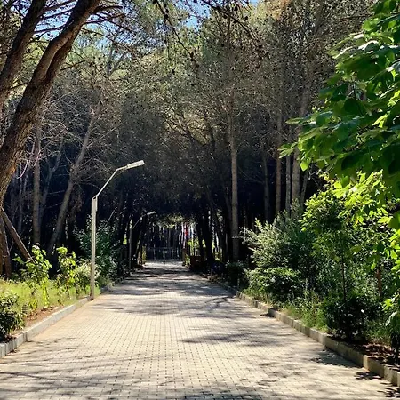 Villa Forest - Middle Of Forest & Near The *