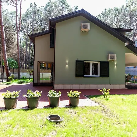 Forest - Middle Of Forest & Near The Villa