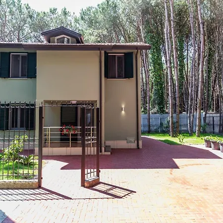 Forest - Middle Of Forest & Near The Golem (Tirana)