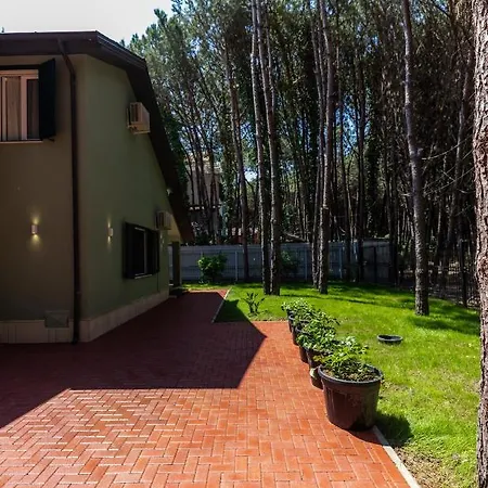 Forest - Middle Of Forest & Near The Villa Golem (Tirana)