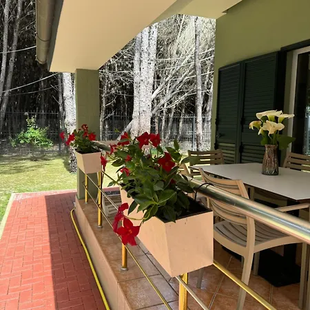 Forest - Middle Of Forest & Near The * Golem (Tirana)