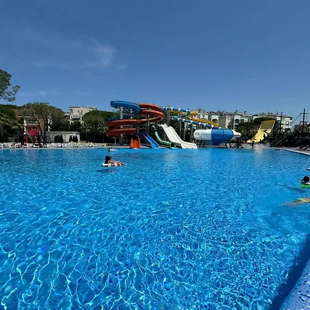 Forest - Middle Of Forest & Near The 格勒姆