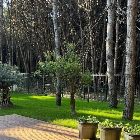 Forest - Middle Of Forest & Near The Villa *