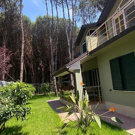 Villa Forest - Middle Of Forest & Near The Golem (Tirana)