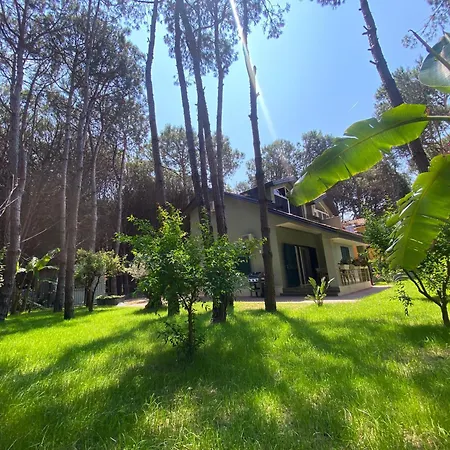 Villa Forest - Middle Of Forest & Near The *