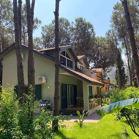 Forest - Middle Of Forest & Near The Golem (Tirana)