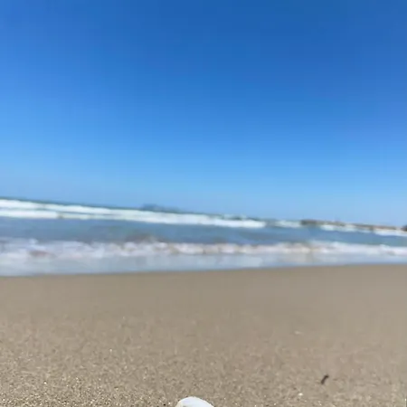 Forest - Middle Of Forest & Near The *