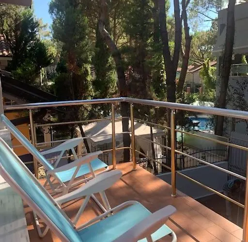 Forest - Middle Of Forest & Near The