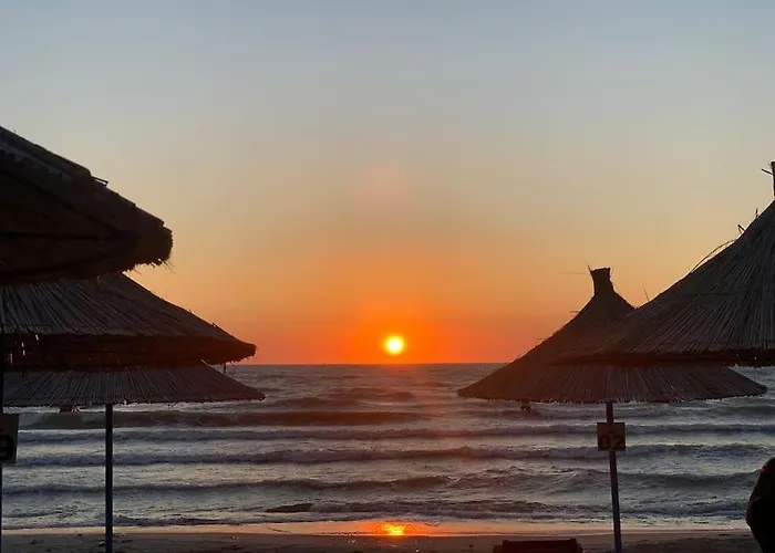 Villa Forest - Middle Of Forest & Near The