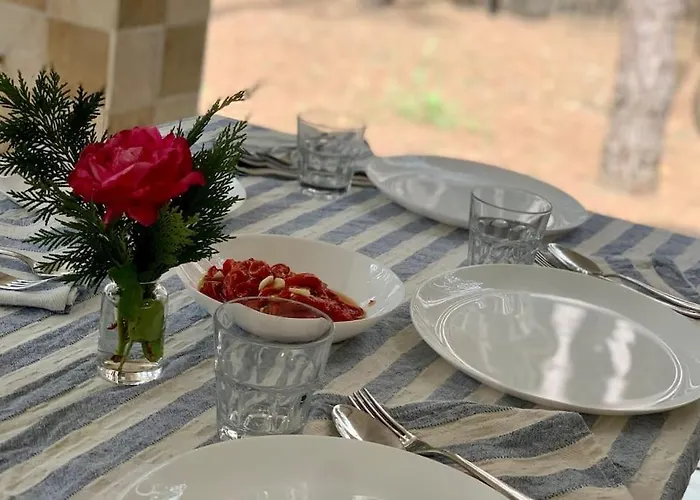 Forest - Middle Of Forest & Near The