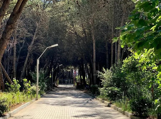 Willa Forest - Middle Of Forest & Near The *