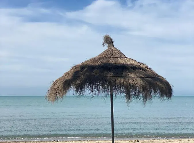 Forest - Middle Of Forest & Near The Willa Golem (Tirana)