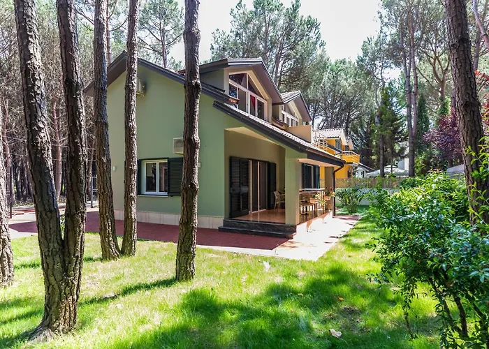 Forest - Middle Of Forest & Near The