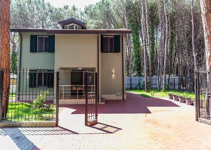 Forest - Middle Of Forest & Near The Golem (Tirana)