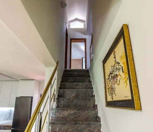 Forest - Middle Of Forest & Near The 格勒姆