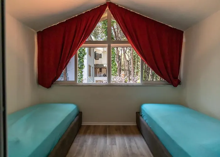 Forest - Middle Of Forest & Near The