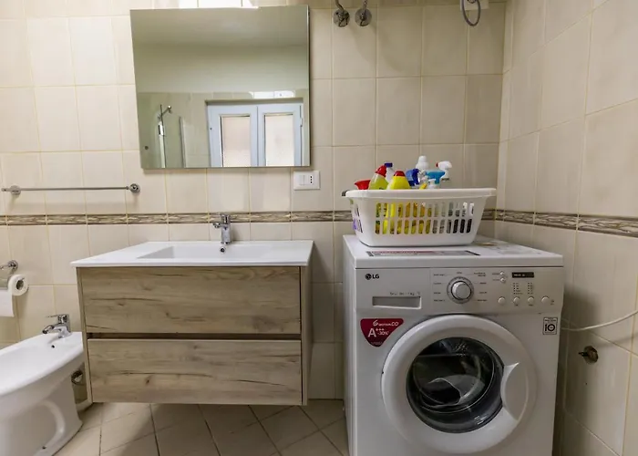 Forest - Middle Of Forest & Near The 别墅 *