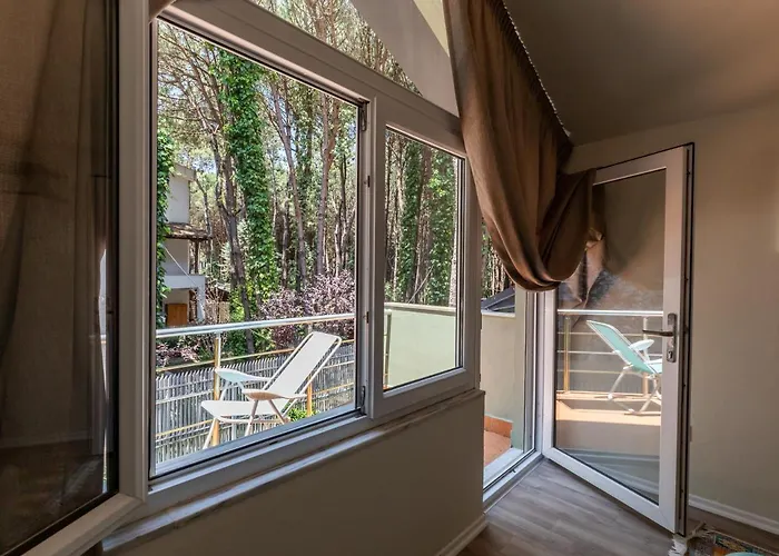 Forest - Middle Of Forest & Near The 别墅