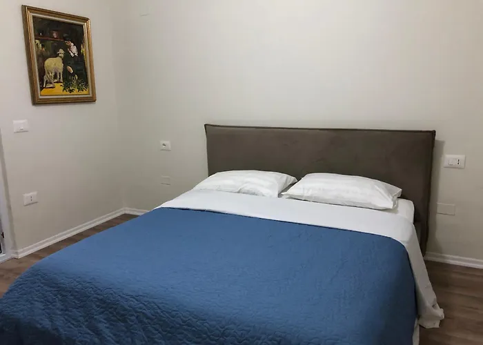 Forest - Middle Of Forest & Near The