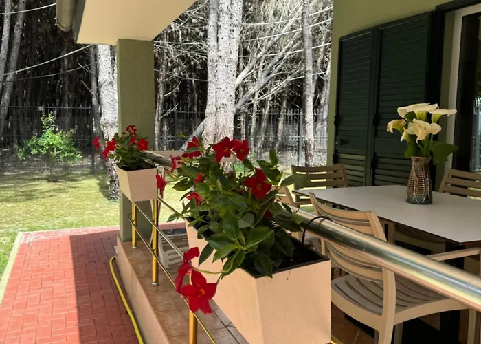 Forest - Middle Of Forest & Near The * 格勒姆