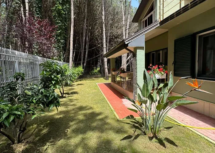 Forest - Middle Of Forest & Near The Villa