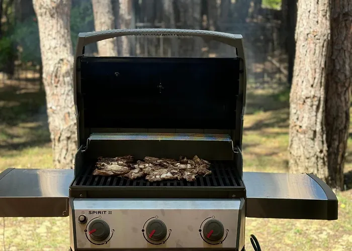 Forest - Middle Of Forest & Near The *