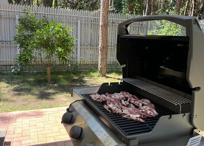 别墅 Forest - Middle Of Forest & Near The 格勒姆