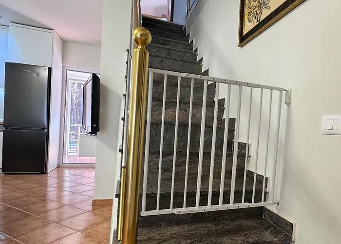 Forest - Middle Of Forest & Near The 别墅 *