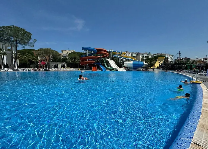 Forest - Middle Of Forest & Near The 格勒姆