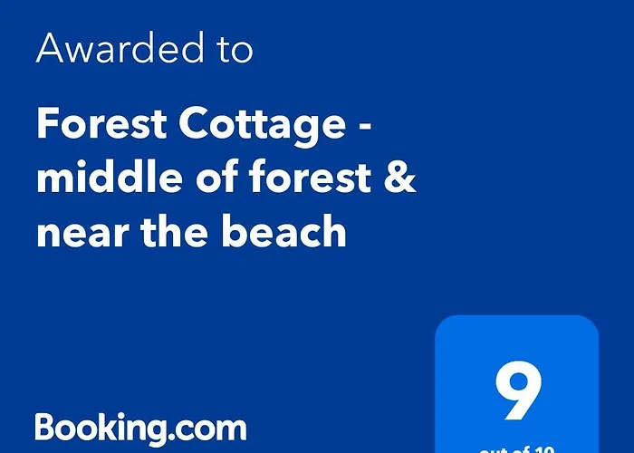 Forest - Middle Of Forest & Near The * 格勒姆