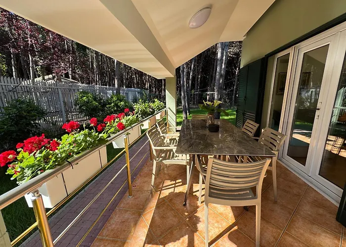 Forest - Middle Of Forest & Near The * Golem (Tirana)