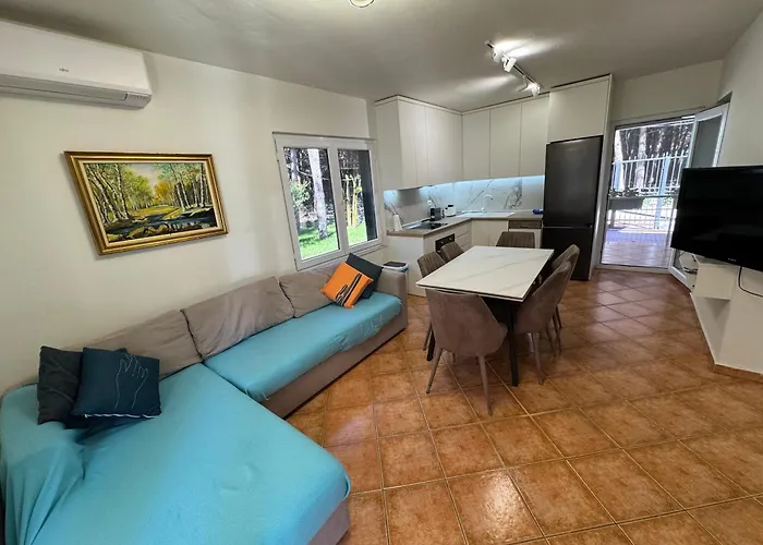 Forest - Middle Of Forest & Near The Willa *