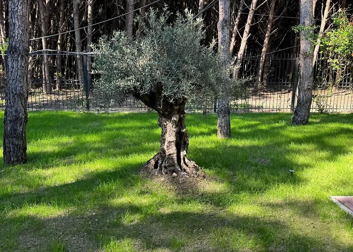 Villa Forest - Middle Of Forest & Near The