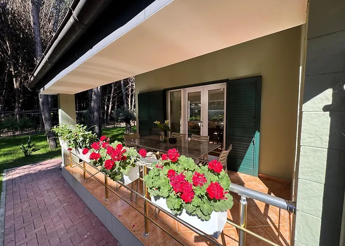 Forest - Middle Of Forest & Near The * 格勒姆