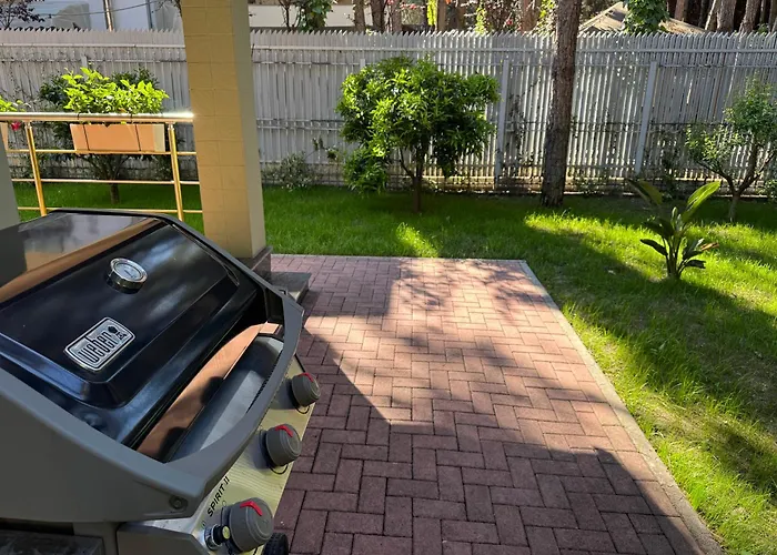 Forest - Middle Of Forest & Near The