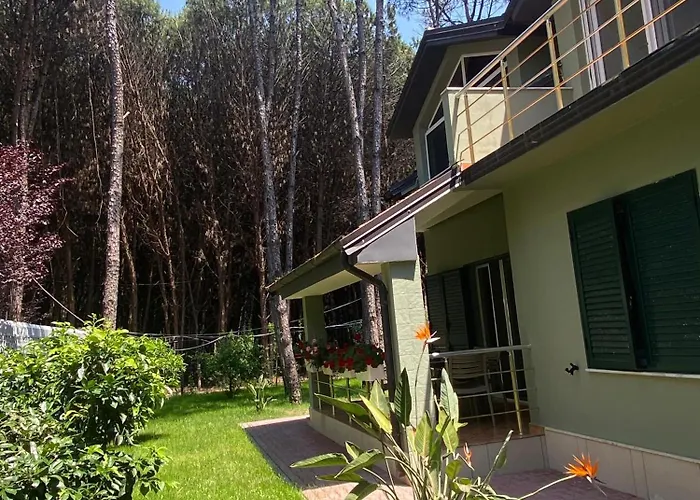 Villa Forest - Middle Of Forest & Near The Golem (Tirana)