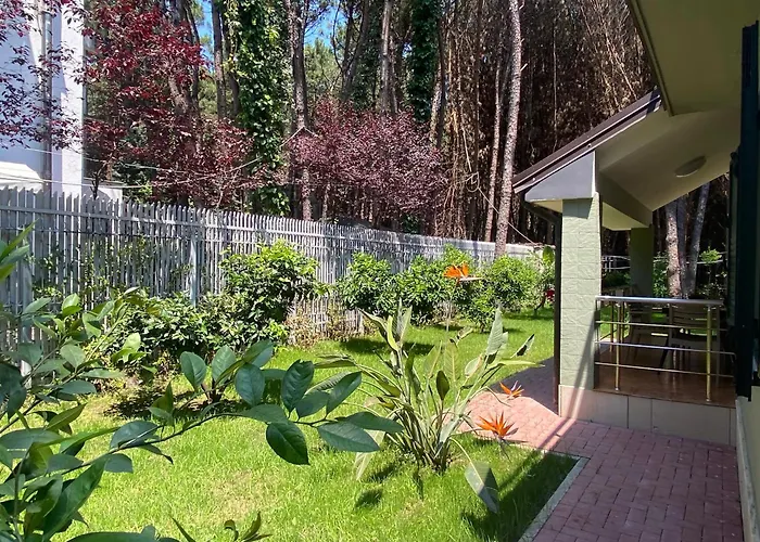 Forest - Middle Of Forest & Near The * 格勒姆