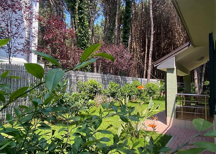 Forest - Middle Of Forest & Near The