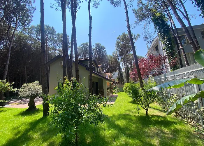 Forest - Middle Of Forest & Near The 别墅 *